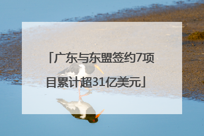 广东与东盟签约7项目累计超31亿美元